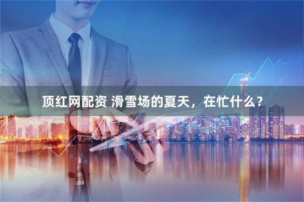 顶红网配资 滑雪场的夏天，在忙什么？